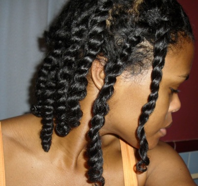 Twists vs Braids on Natural Hair: The Pros and Cons